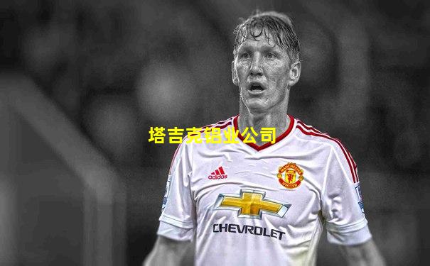 塔吉克铝业公司