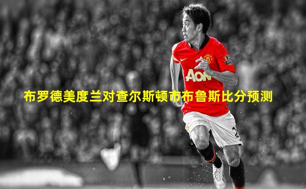 布罗德美度兰对查尔斯顿市布鲁斯比分预测