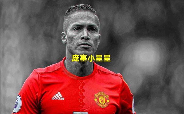 庞塞小星星