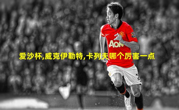 爱沙杯,威克伊勒特,卡列夫哪个厉害一点
