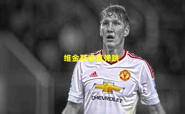 维金斯垂直弹跳