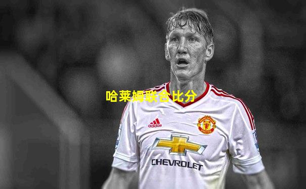 哈莱姆联合比分