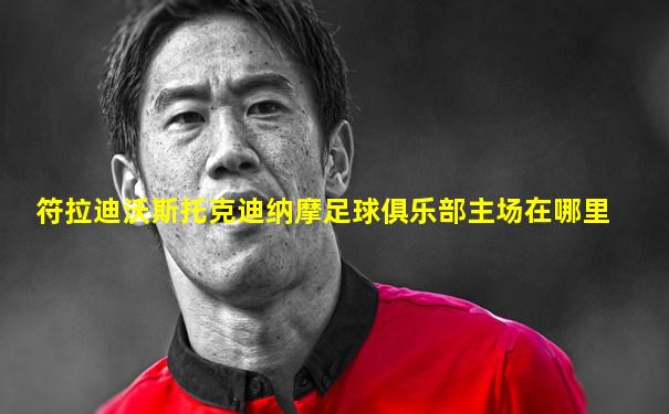 符拉迪沃斯托克迪纳摩足球俱乐部主场在哪里
